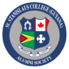 Toronto Saints favicon